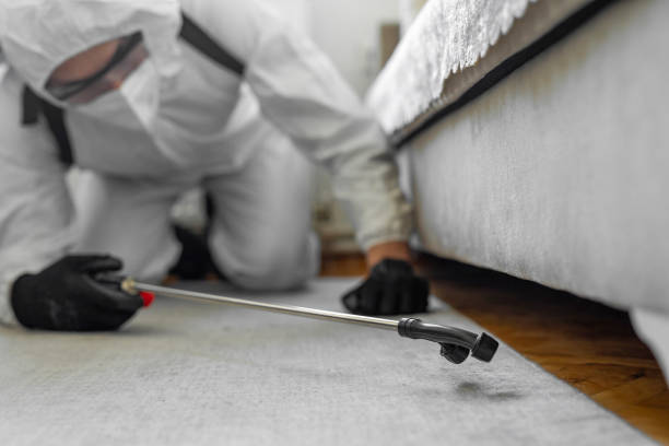 Professional Bed Bug Control technician working in Patrick Springs, VA
